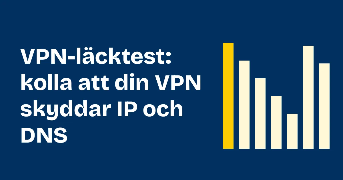 VPN leak test: datorskärm som visar IP-adress och DNS-servrar under ett läcktest
